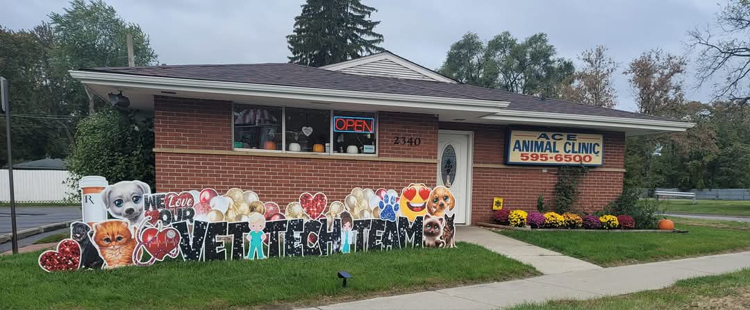 Ace Animal Clinic — photo