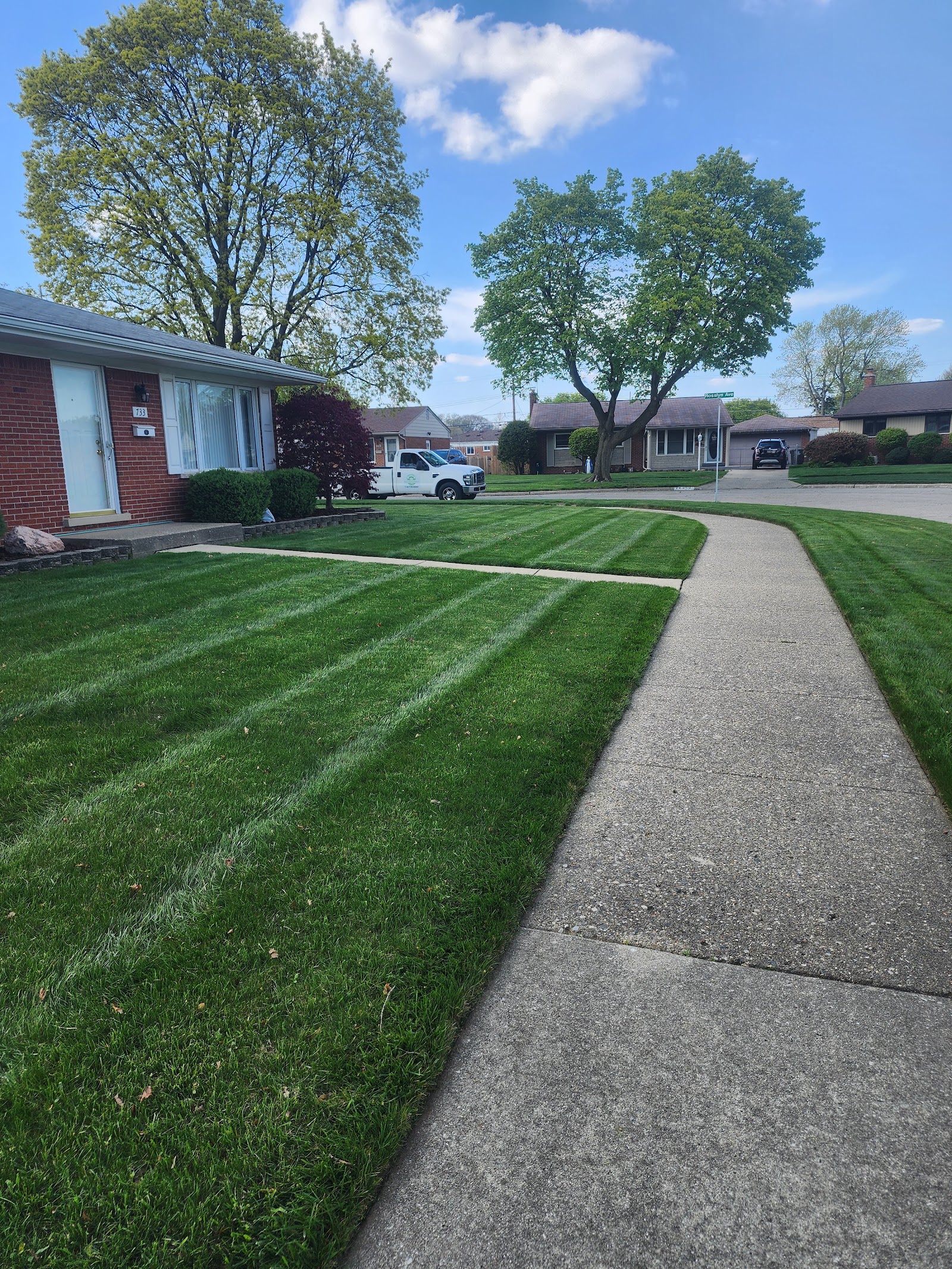 Acosta's Lawn Maintenance in