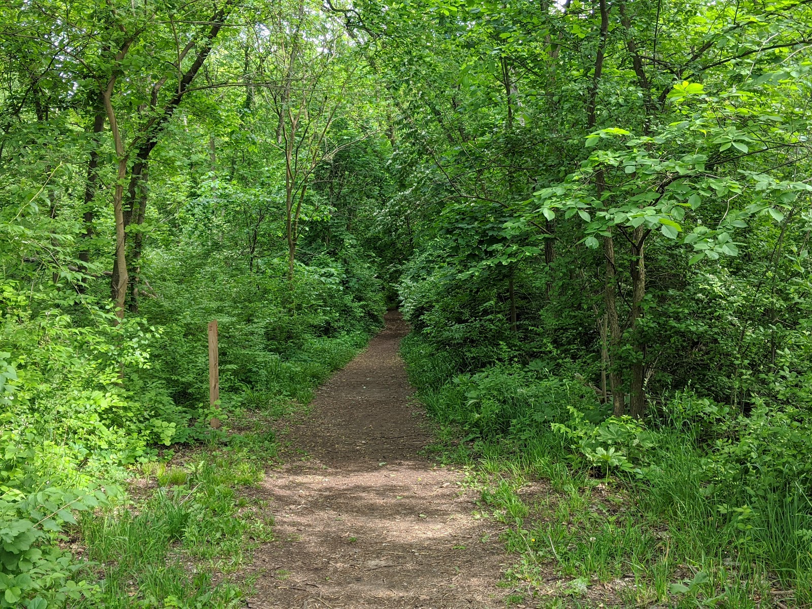 Cowan/Central City Parkway Holliday Nature Preserve Trailhead — photo