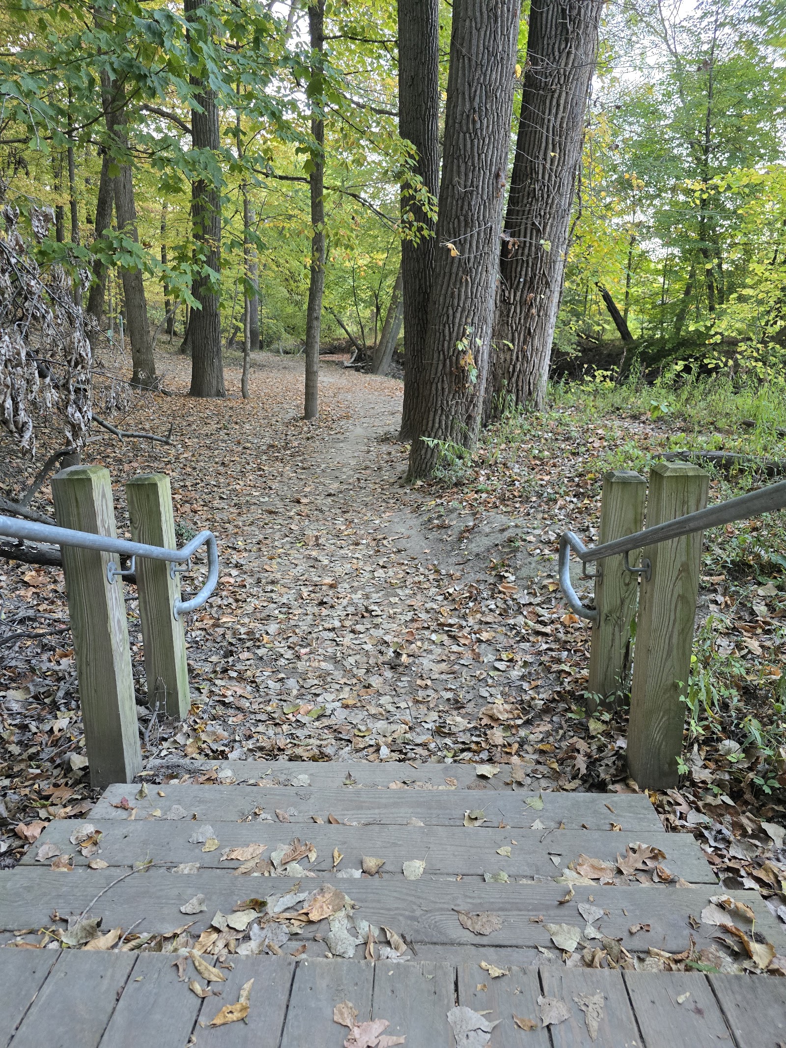 Ellsworth Trail Boardwalk — photo
