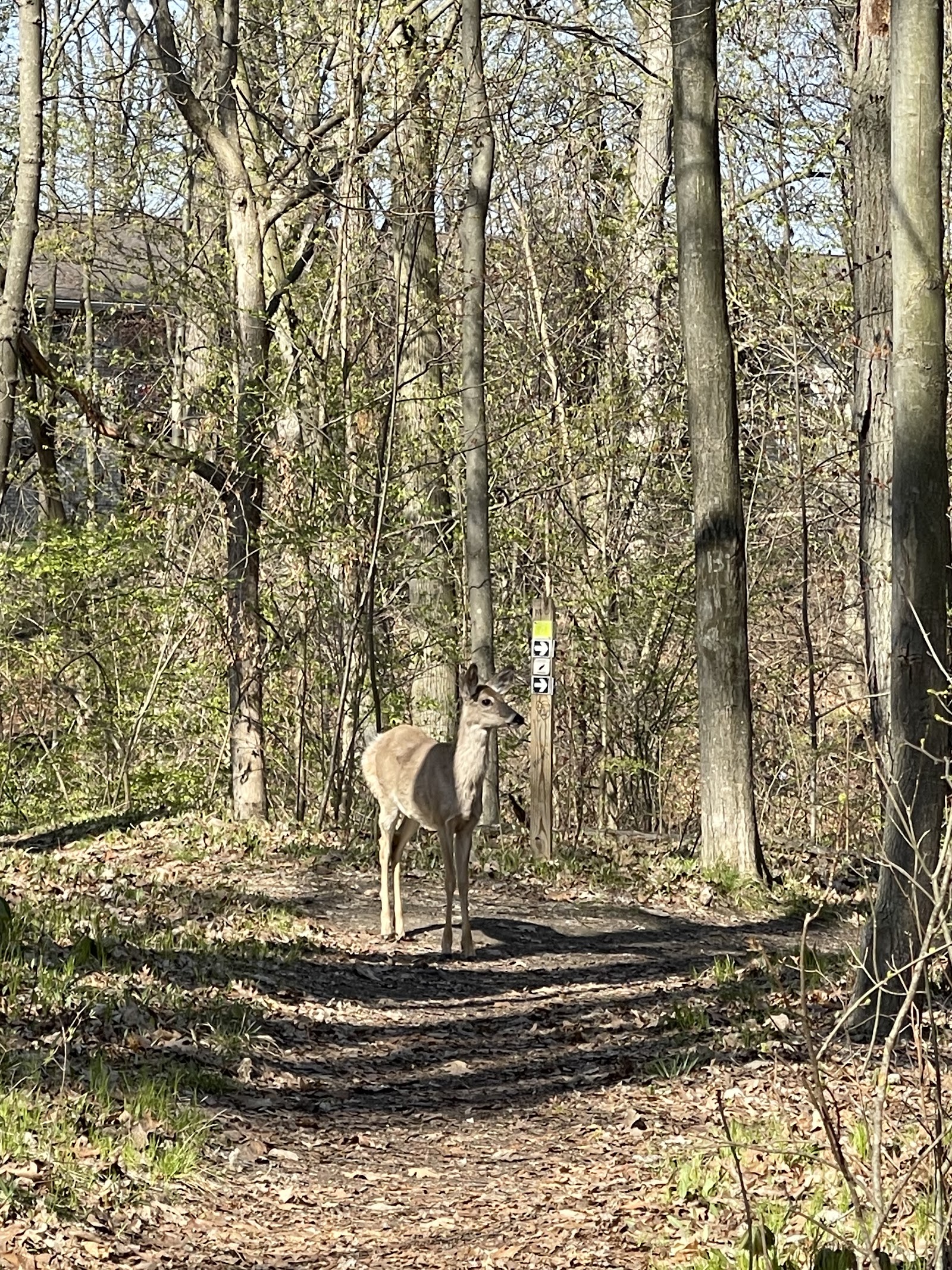 Holliday Park in