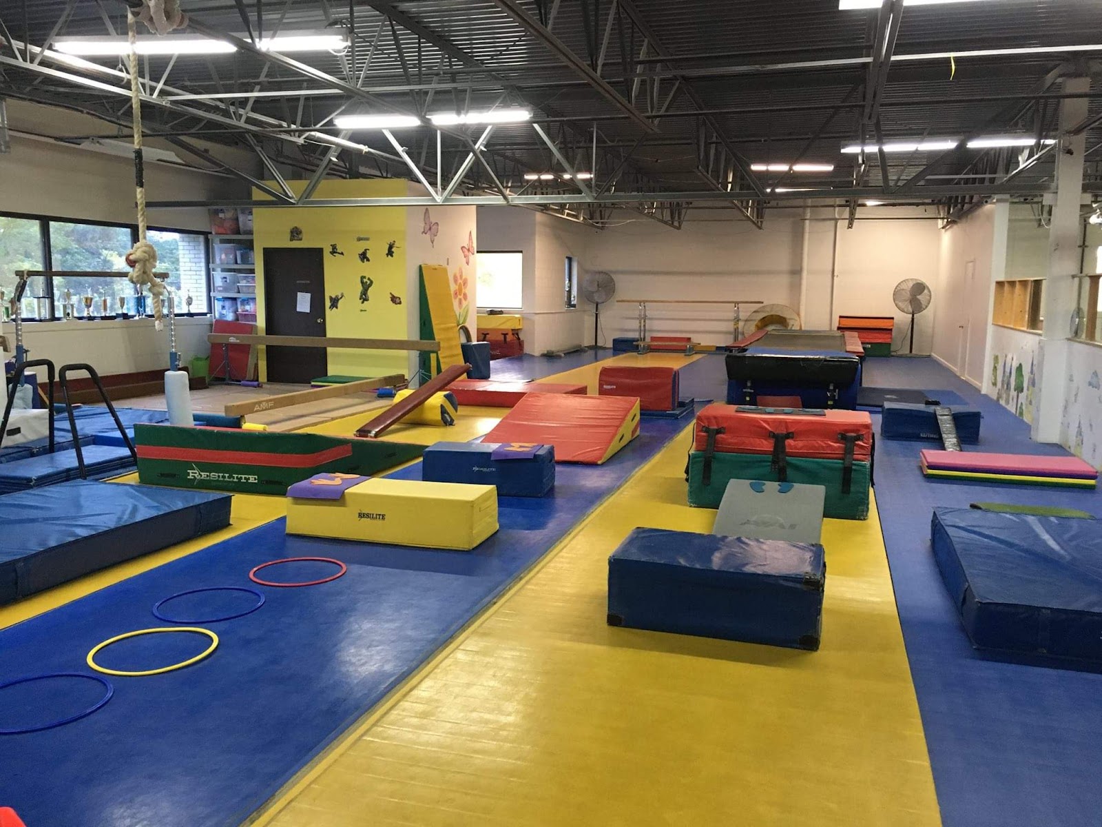 Michigan Academy of Gymnastics in Westland