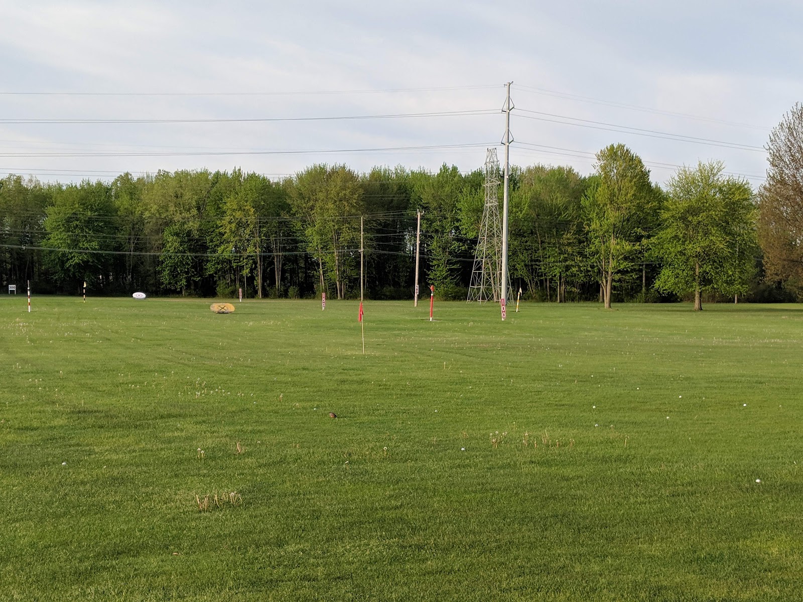 Mickey's Golf Range — photo