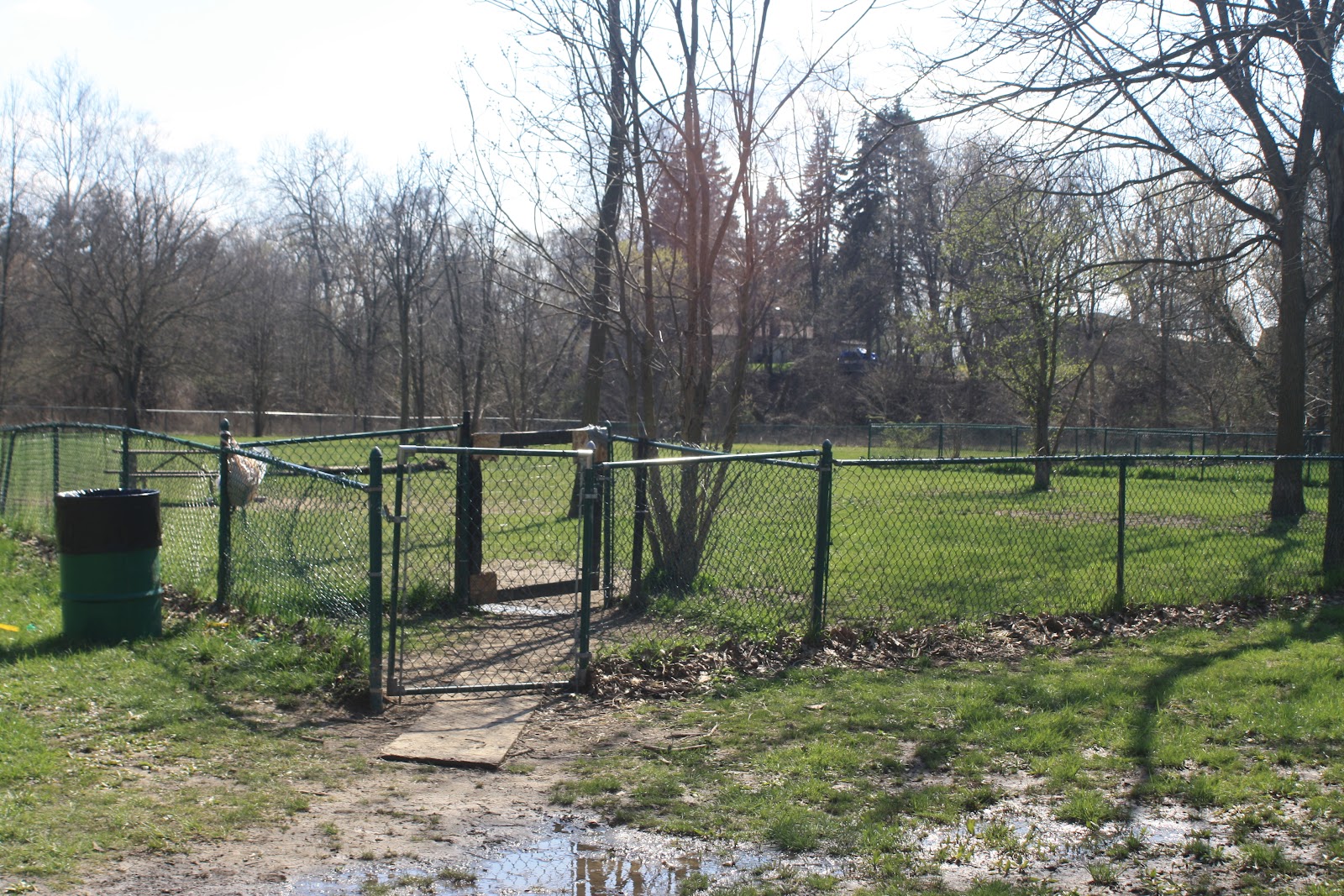Old Hines Park Dog Park — photo