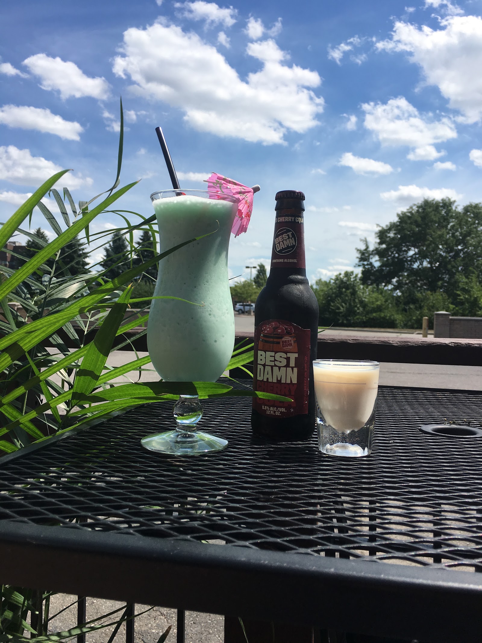 Palmer House Bar & Grill in Westland