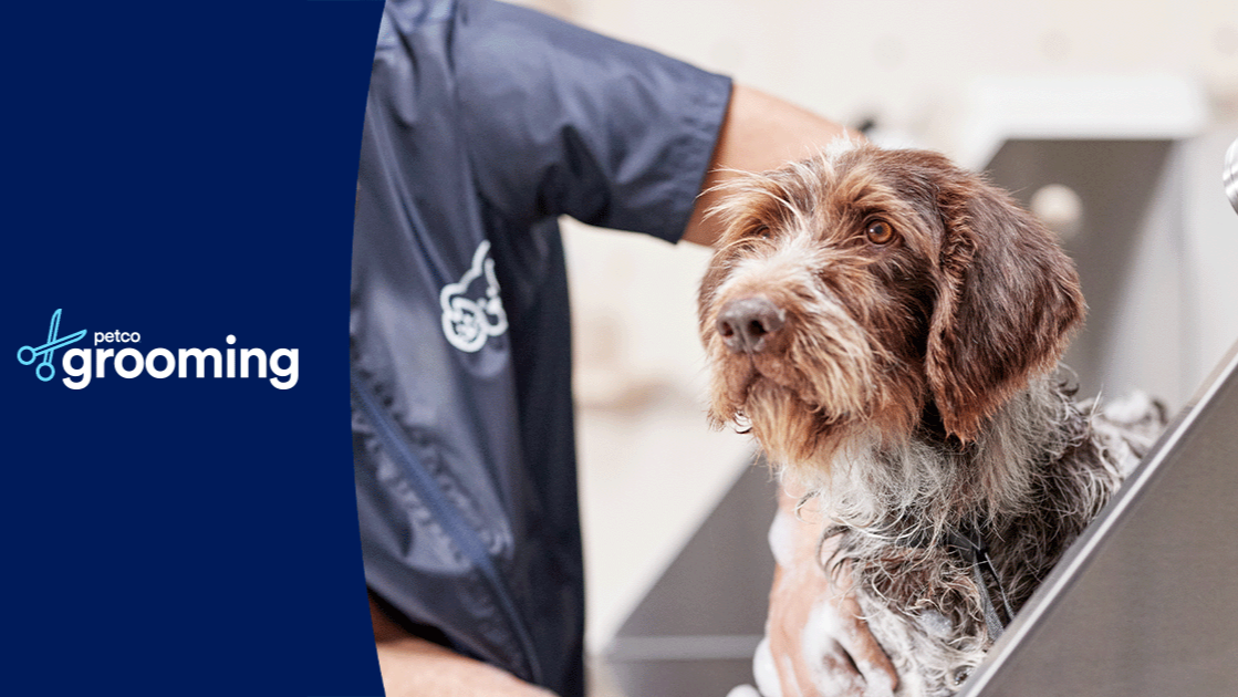 Petco Grooming — photo