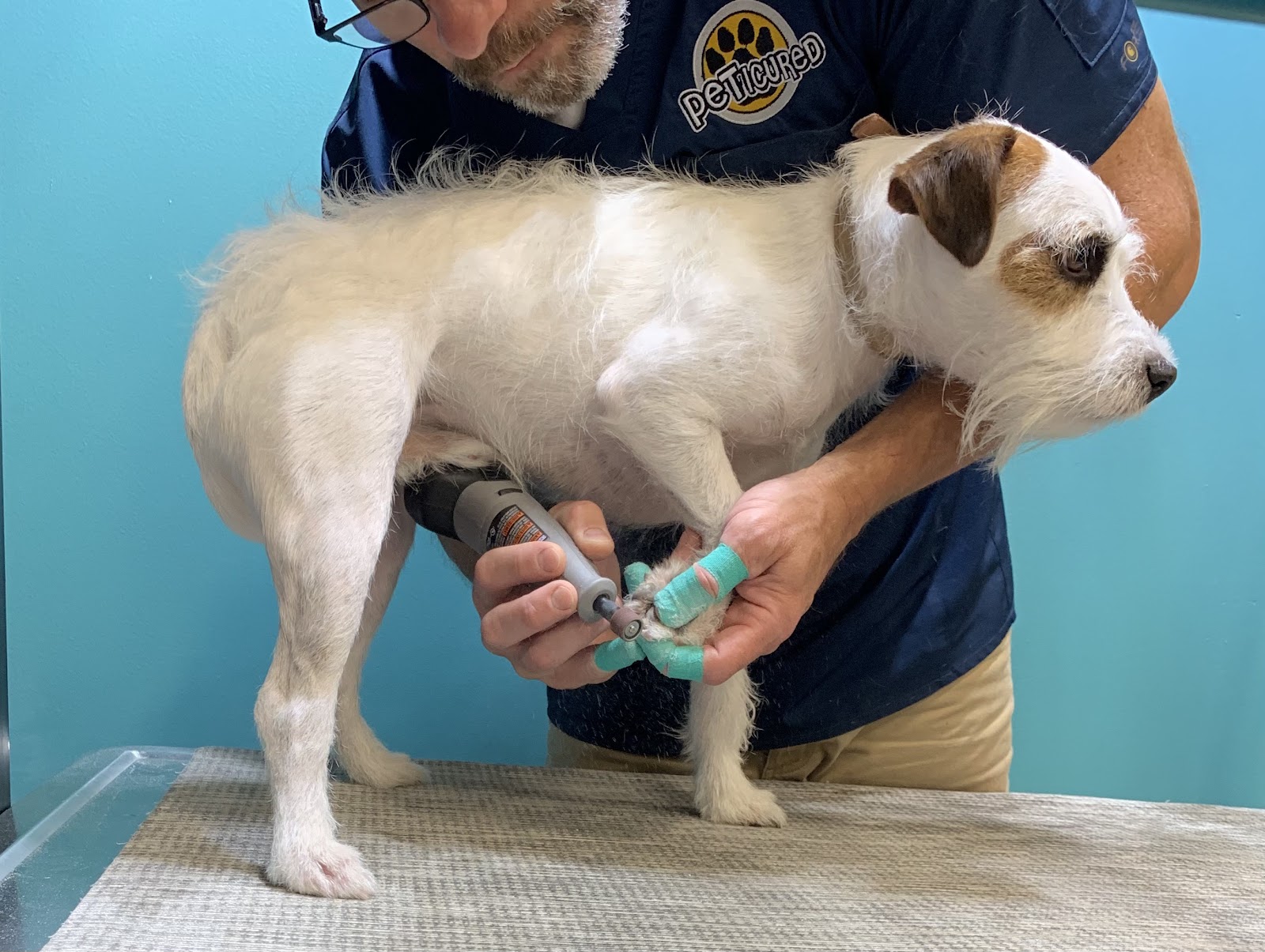 Peticured - Pet Nail Specialists — photo