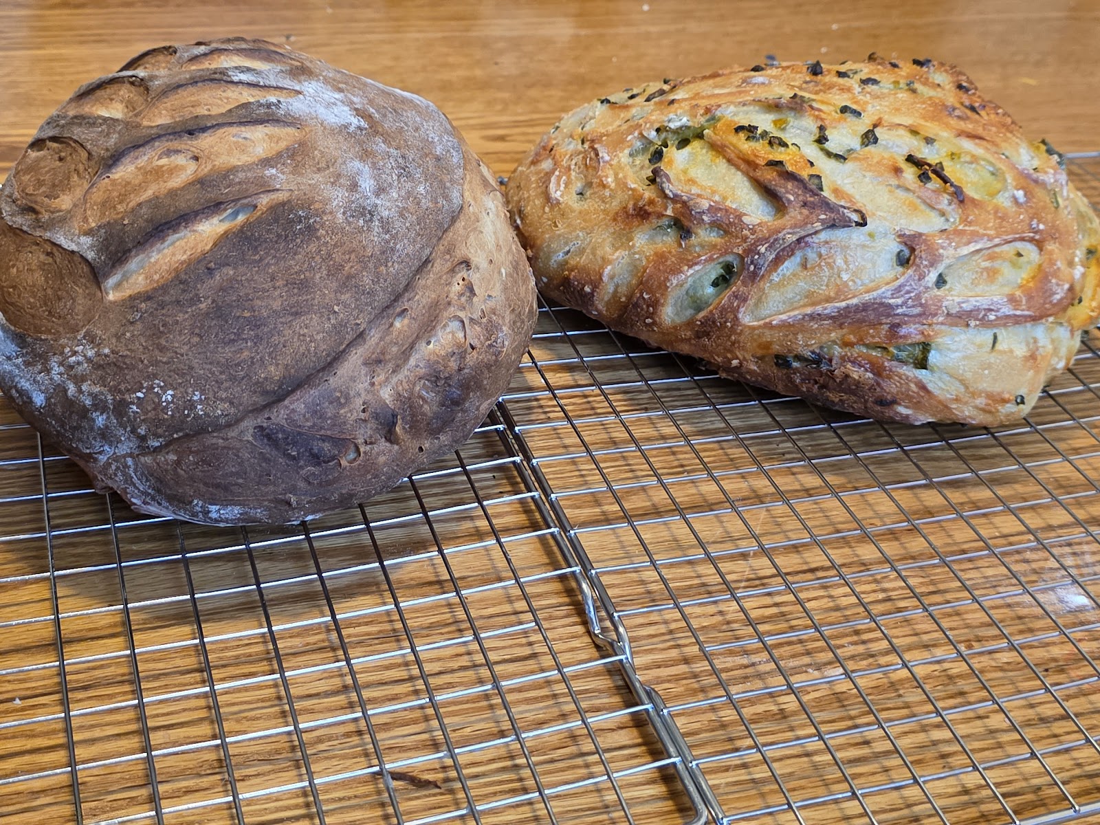 The Tangy Canvas in Westland