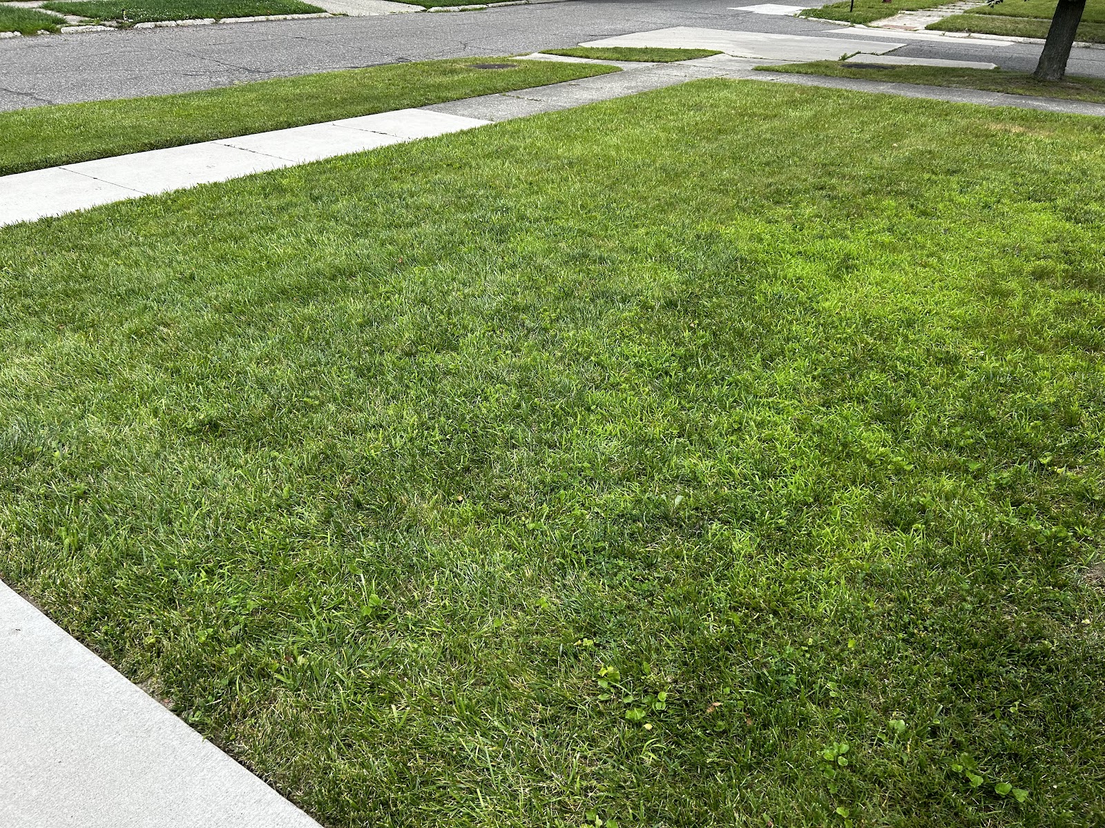 TLT LawnCare & SnowRemoval LLC in Westland