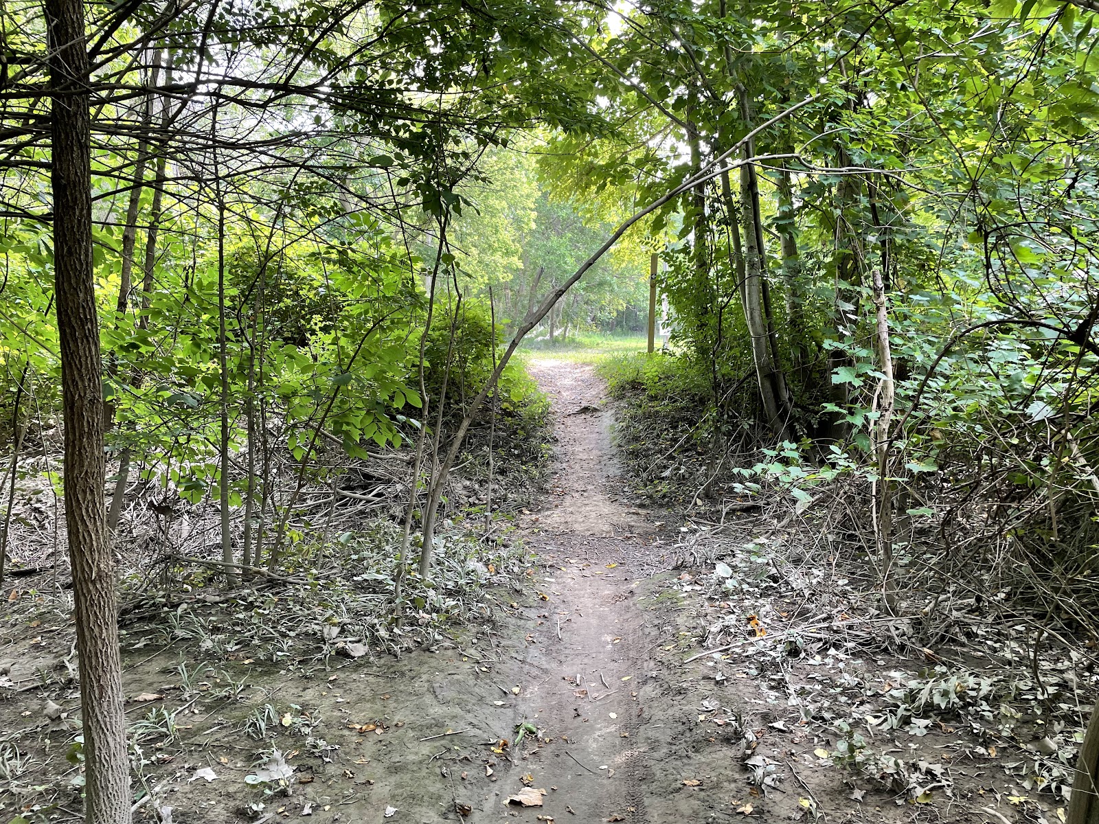 Trail 47 MTB Trailhead (East) — photo